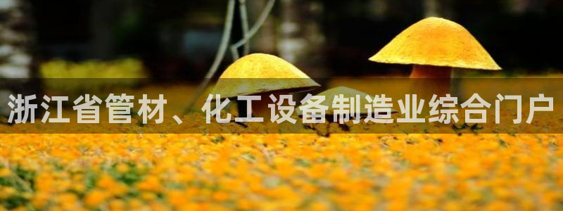 新城平台线路登录不上去怎么回事呢