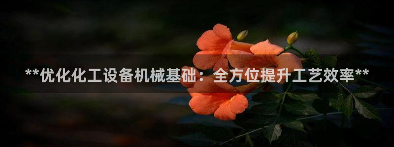 新城平台登录密码忘了