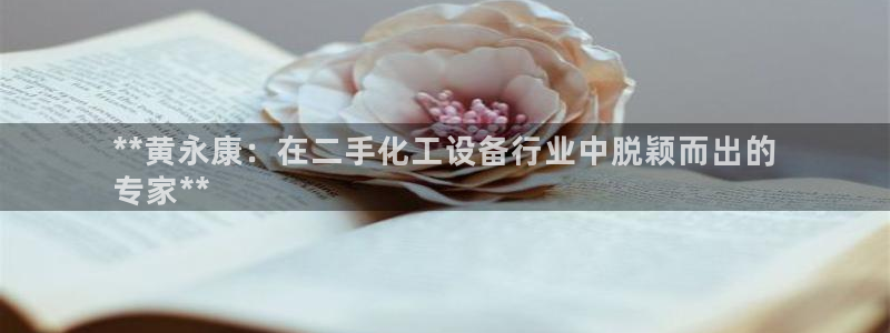 新城平台线路登录不上去怎么回事儿