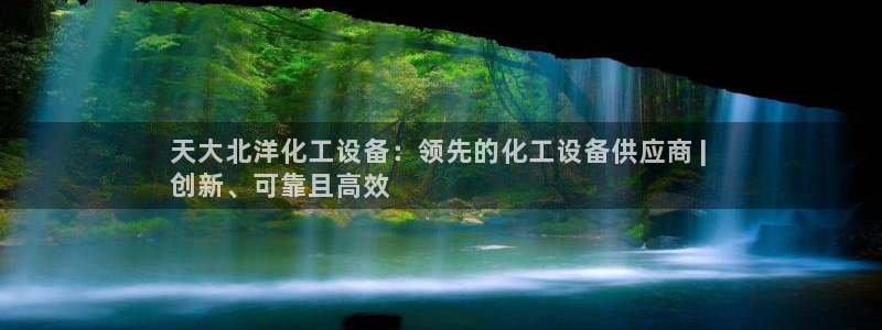 新城平台公司