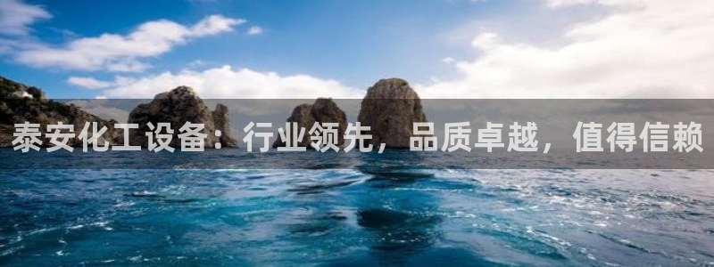 新城平台注册公司流程图