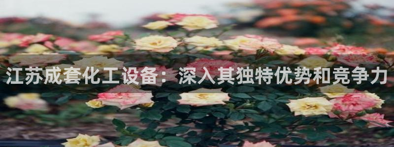新城平台终7O777：江苏成套化工设备：深入其独特