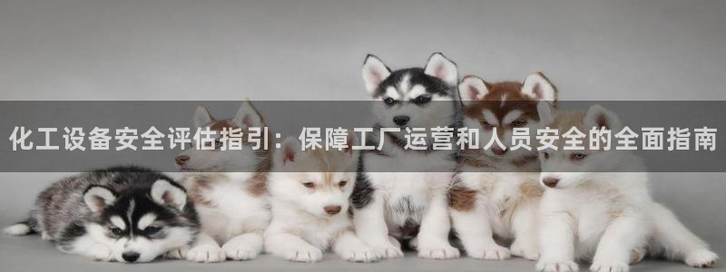 新城平台注册网址查询