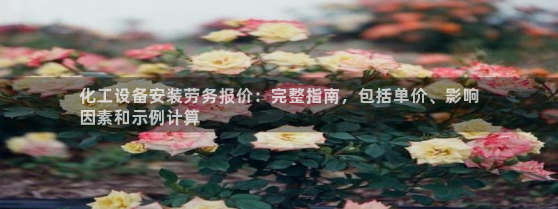 新城平台负责人