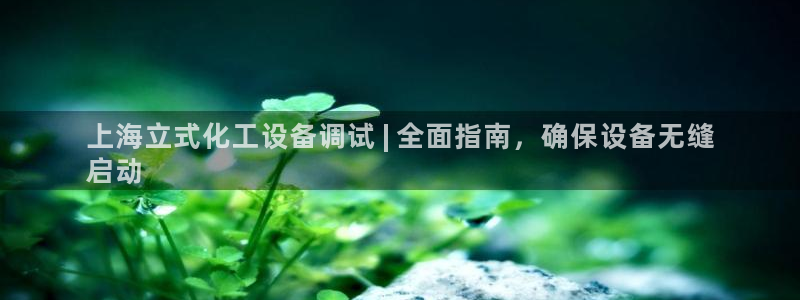 新城平台入.新城平台.全国联网是什么意思