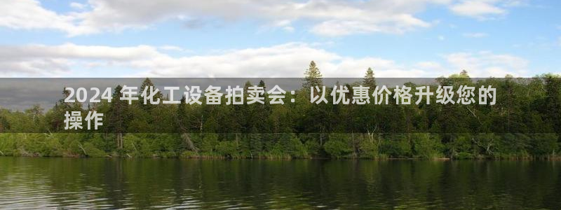 新城平台进·新城平台：2024 年化工设备拍卖会：以优惠价格