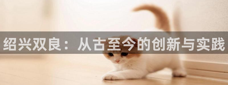 新城平台平台最新活动有哪些：绍兴双良：从古至今的创新与实践