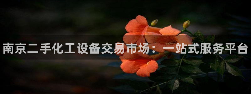 新城平台登录入口官网下载：南京二手化工设备交易市场
