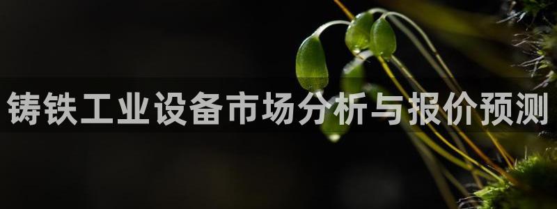 新城平台登录入口官网首页下载