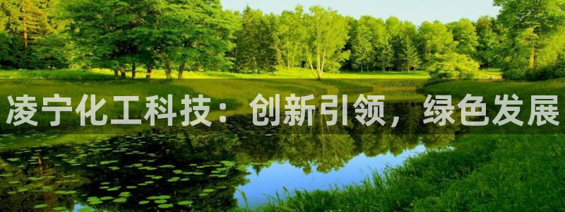 新城平台代理电话