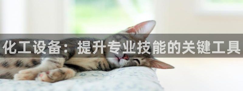 新城平台记7O777