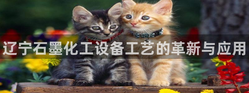 新城平台登录入口官网查询网址