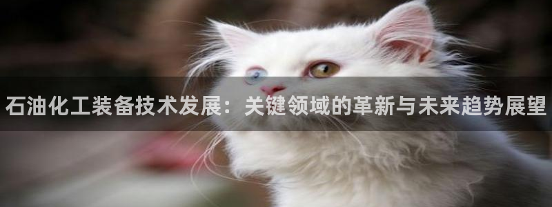 新城平台注册资金多少亿