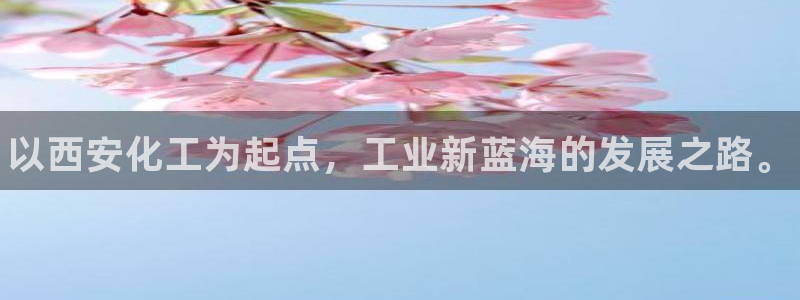 新城平台登录入口官网网址查询