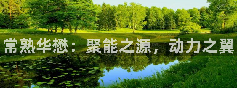 新城平台登录入口官网查询网址