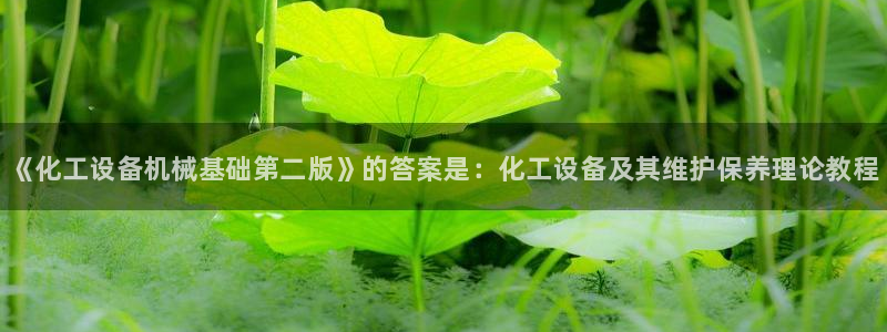 新城平台企业信息查询