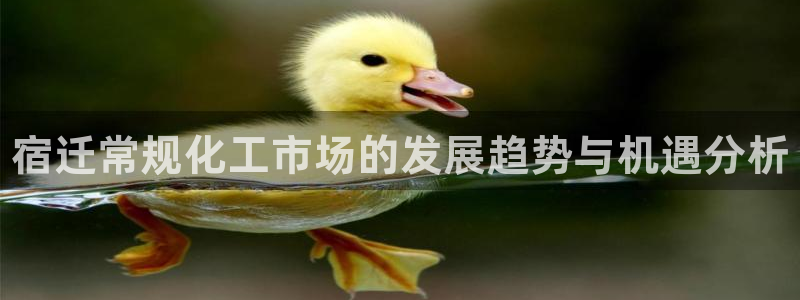 新城平台注册流程及费用：宿迁常规化工市场的发展趋势