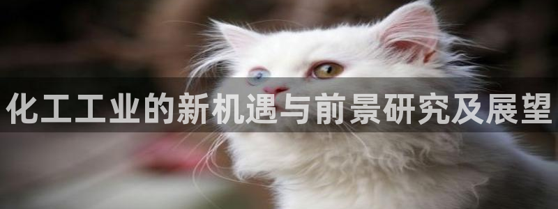 新城平台入.新城平台.全国联网是什么意思：化工工业