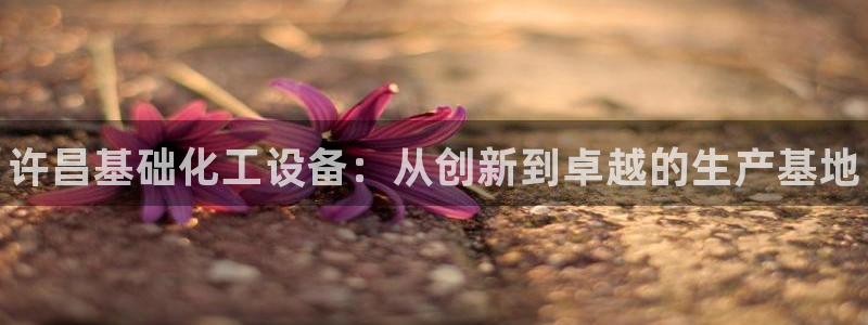 新城平台是干嘛的公司啊